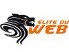 elite du web a brignoles (webmaster)
